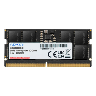 Adata AD5S56008G-S